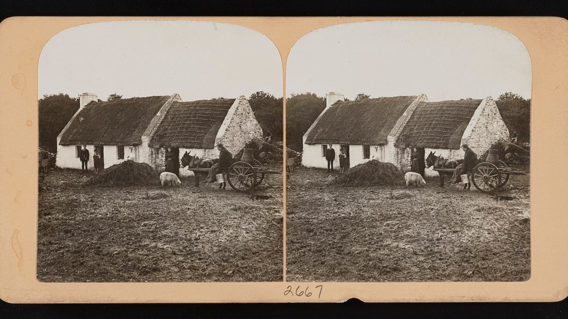 Black and white stereophotograph of a cottage with white walls and straw roof. A few people in front of the cottage, a horse harnessed to a wooden cart and a pig near the horse.