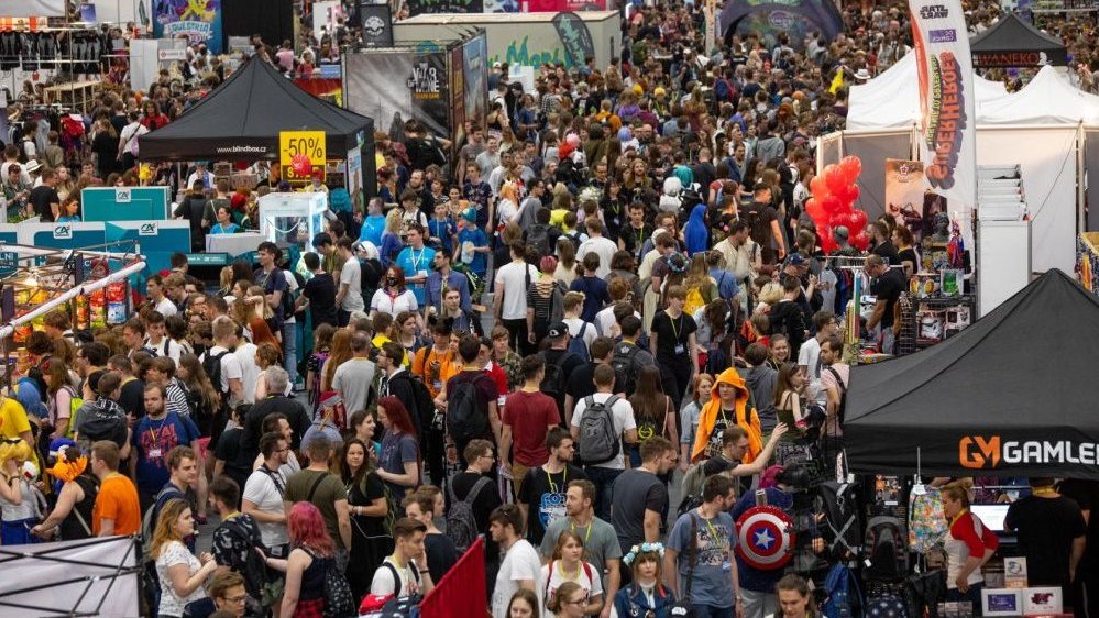 A crowd of people - visitors of Pyrkon.