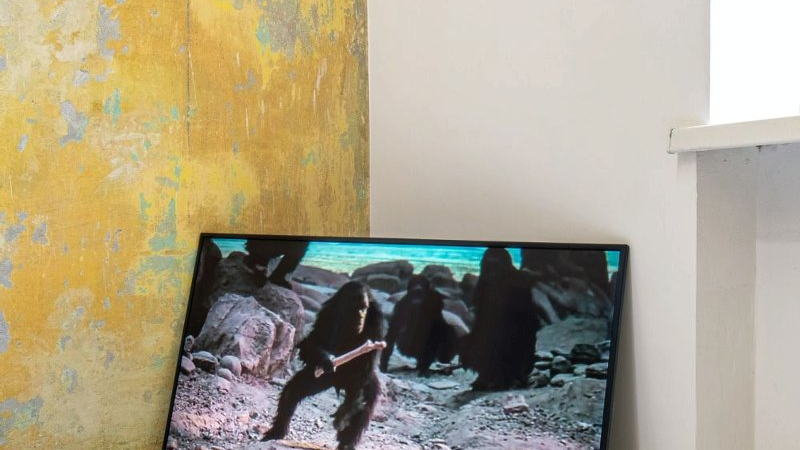 Ekran przedstawiający fragment filmu z udziałem małp postawiony bezpośrednio na ziemi i oparty o ścianę. Ściany w kolorze białym i żółtym.