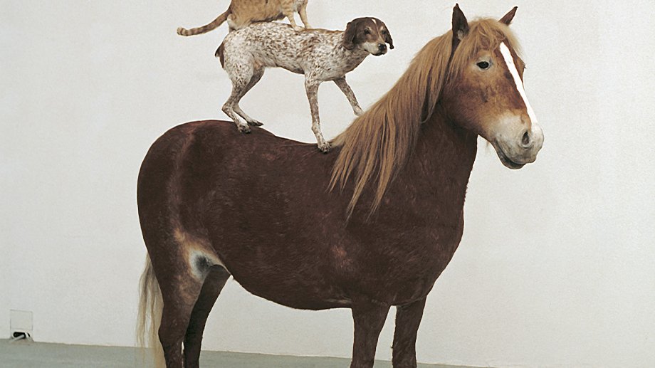 Brązowy koń, na którym stoi pies, na którym stoi kot, na którym stoi kogut.